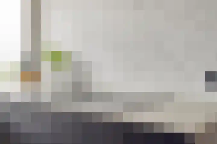 Alkenoord 64 Capelle aan den IJssel thumbnail 20
