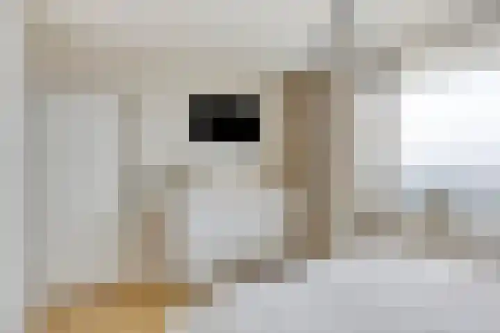 Alkenoord 64 Capelle aan den IJssel thumbnail 22