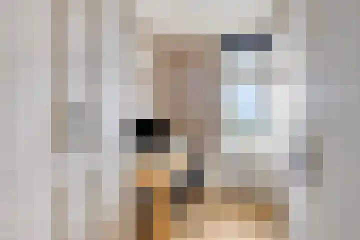Alkenoord 64 Capelle aan den IJssel thumbnail 25