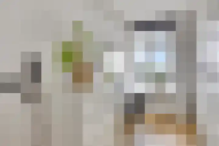 Alkenoord 64 Capelle aan den IJssel thumbnail 27