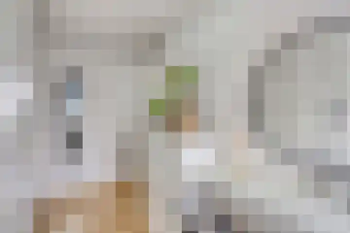 Alkenoord 64 Capelle aan den IJssel thumbnail 28