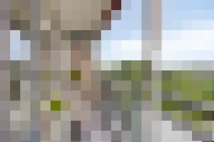 Alkenoord 64 Capelle aan den IJssel thumbnail 29