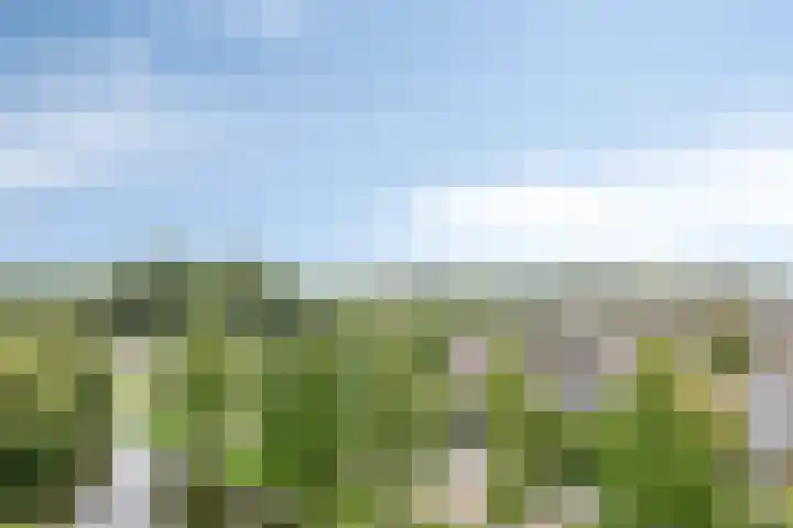 Alkenoord 64 Capelle aan den IJssel thumbnail 30