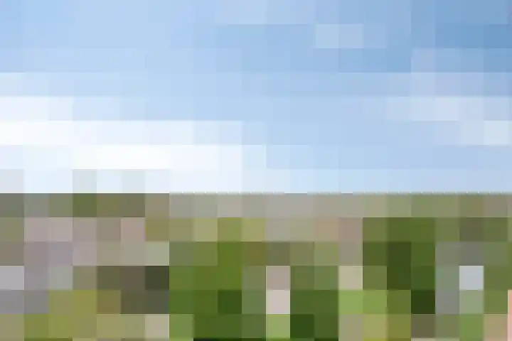 Alkenoord 64 Capelle aan den IJssel thumbnail 31