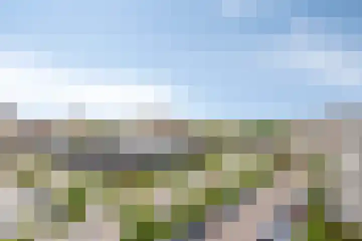 Alkenoord 64 Capelle aan den IJssel thumbnail 32