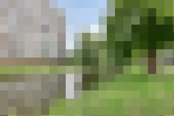 Alkenoord 64 Capelle aan den IJssel thumbnail 35