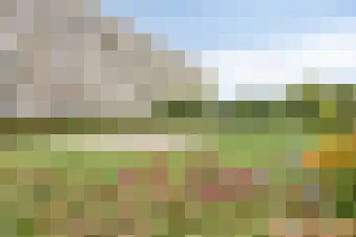 Alkenoord 64 Capelle aan den IJssel thumbnail 36