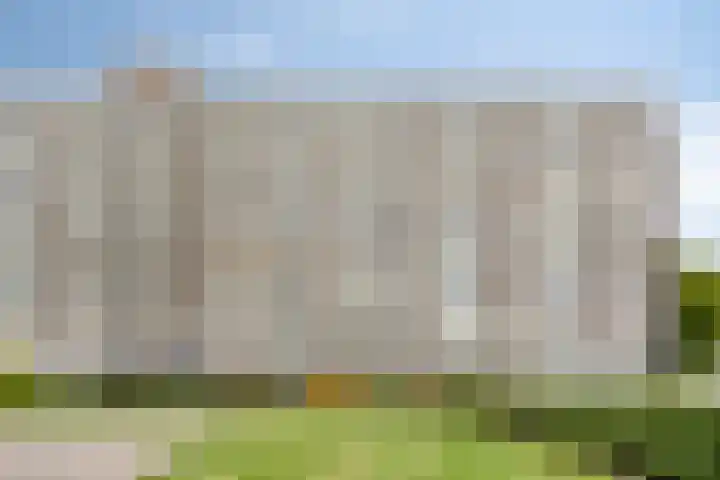 Alkenoord 64 Capelle aan den IJssel thumbnail 38
