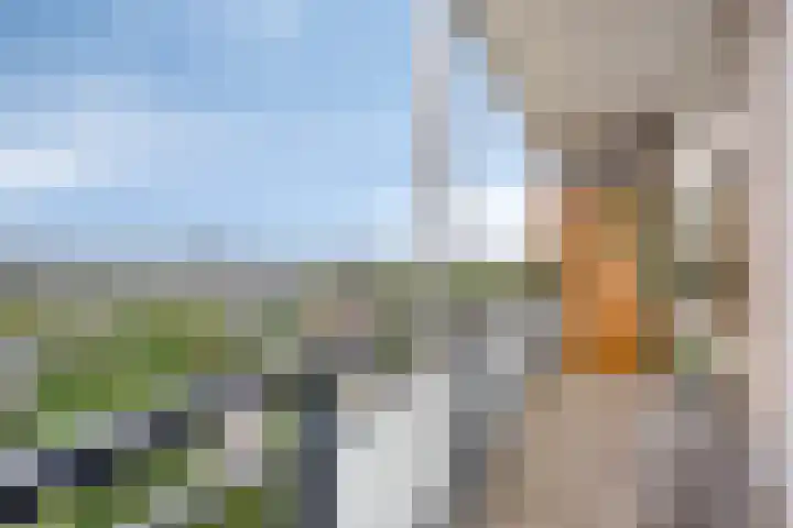 Alkenoord 64 Capelle aan den IJssel thumbnail 4