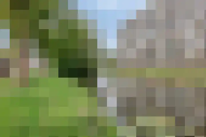Alkenoord 64 Capelle aan den IJssel thumbnail 45
