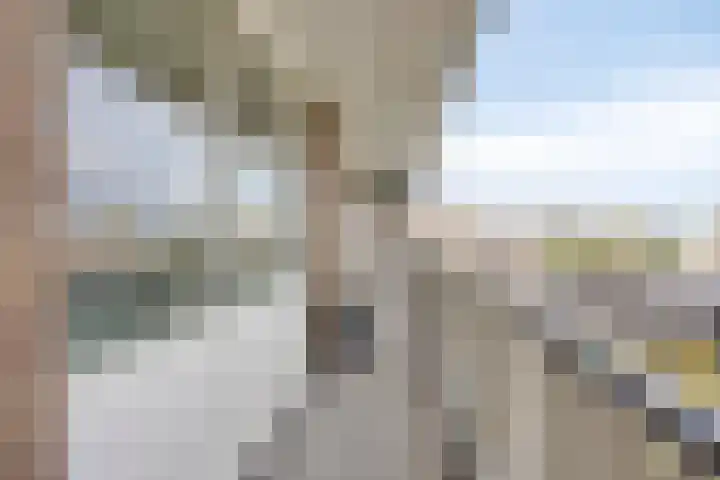 Alkenoord 64 Capelle aan den IJssel thumbnail 8