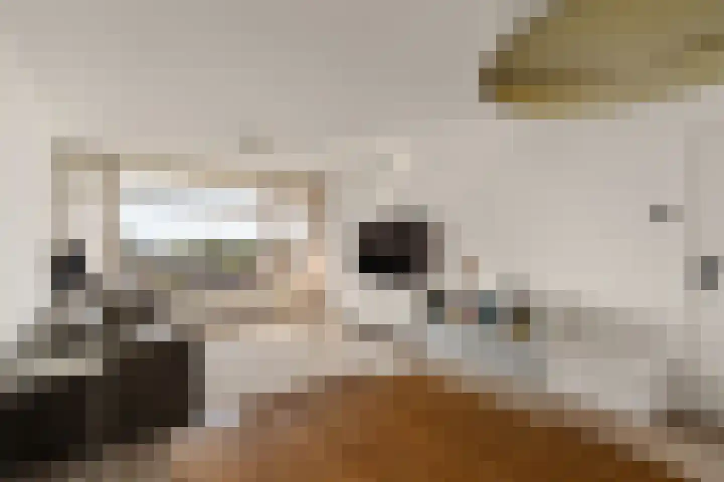 Alkenoord 66 Capelle aan den IJssel thumbnail 13