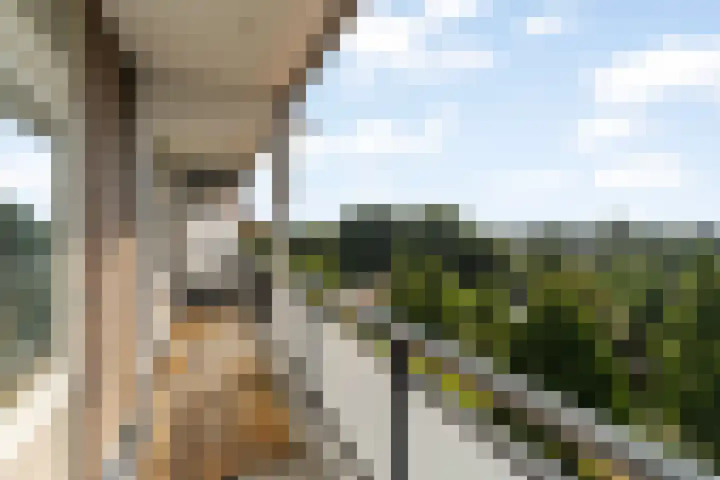Alkenoord 66 Capelle aan den IJssel thumbnail 29