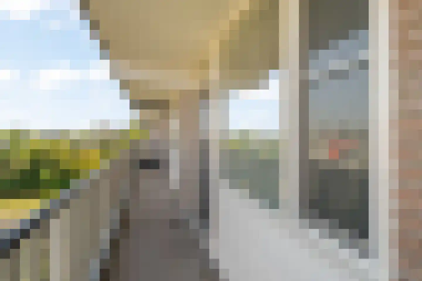 Alkenoord 66 Capelle aan den IJssel thumbnail 9