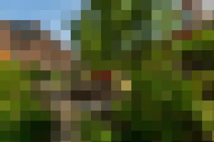 Alkmaardermeer 14 Barendrecht thumbnail 43