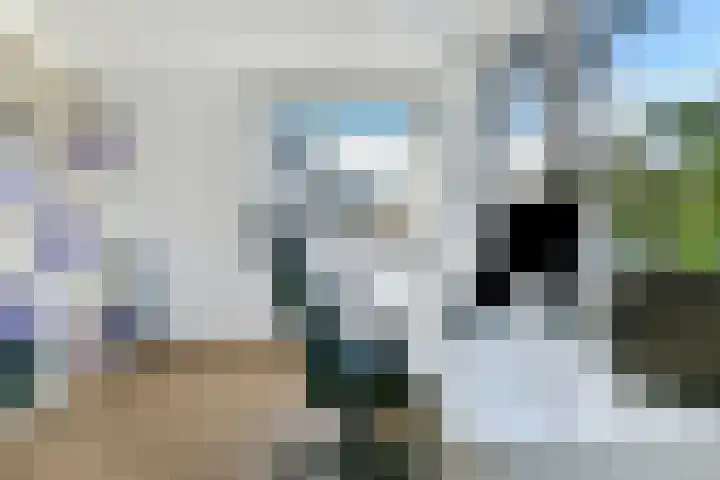 Alkmaardermeer 15 Amersfoort thumbnail 25