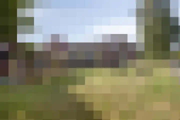 Alkmaardermeer 17 Barendrecht thumbnail 35