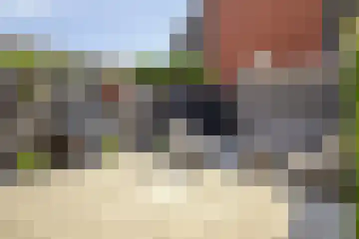 Alkmaardermeer 17 Barendrecht thumbnail 5