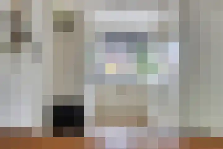 Alkmaardermeerlaan 3 Berkel en Rodenrijs thumbnail 10