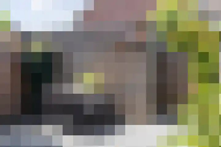 Alkmaardermeerlaan 3 Berkel en Rodenrijs thumbnail 13