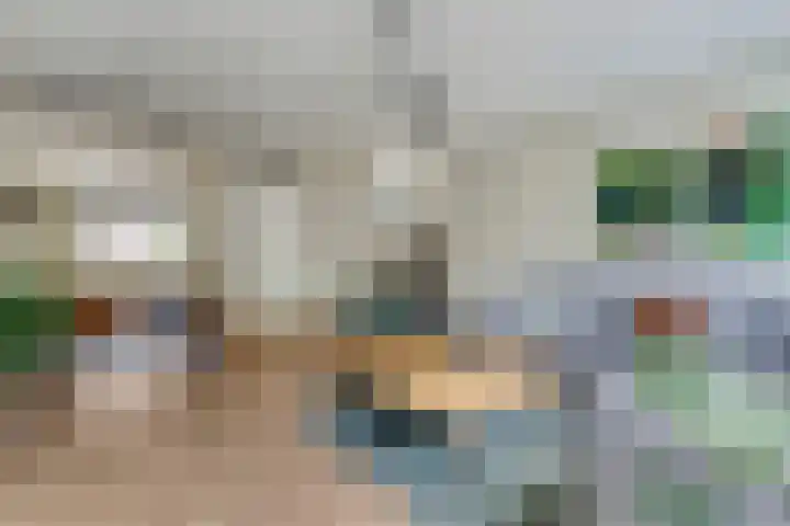Alkmaardermeerlaan 3 Berkel en Rodenrijs thumbnail 15