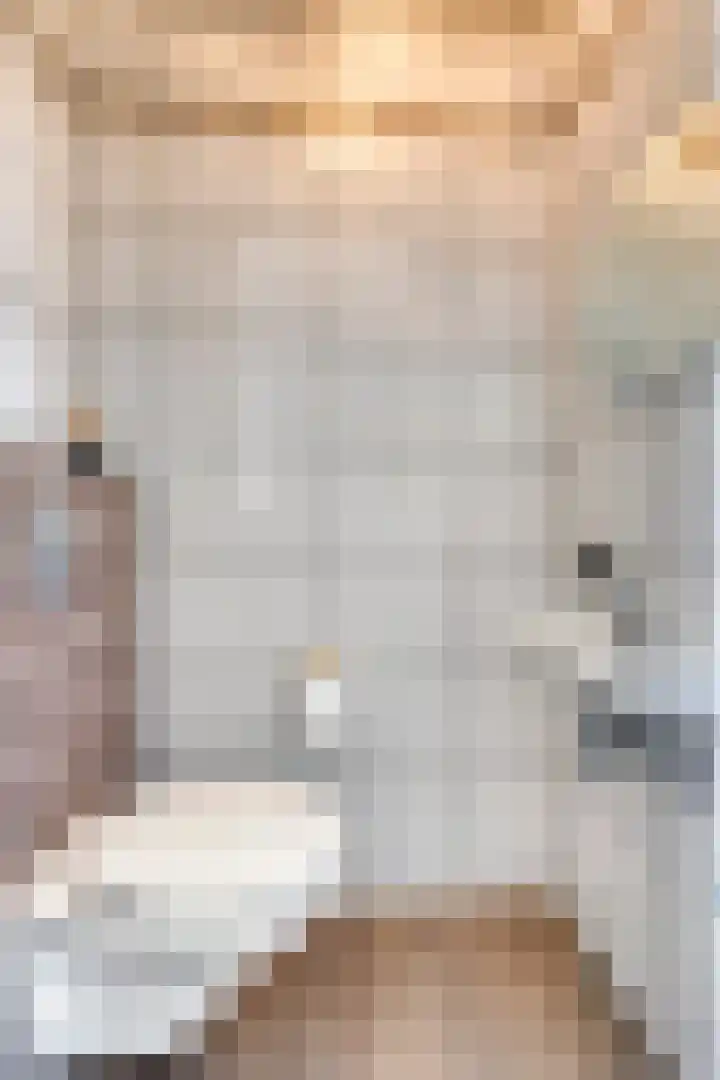 Alkmaardermeerlaan 3 Berkel en Rodenrijs thumbnail 16