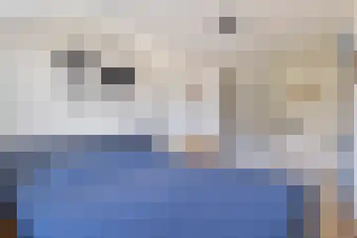 Alkmaardermeerlaan 3 Berkel en Rodenrijs thumbnail 18