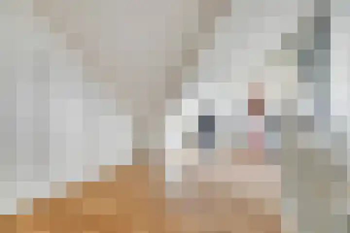 Alkmaardermeerlaan 3 Berkel en Rodenrijs thumbnail 25