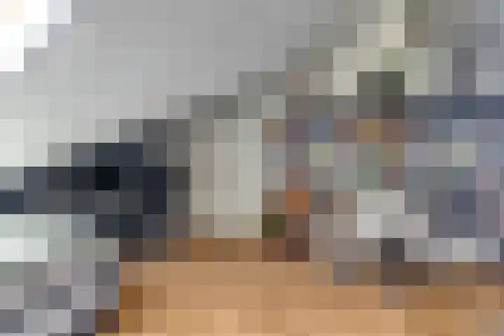 Alkmaardermeerlaan 3 Berkel en Rodenrijs thumbnail 28