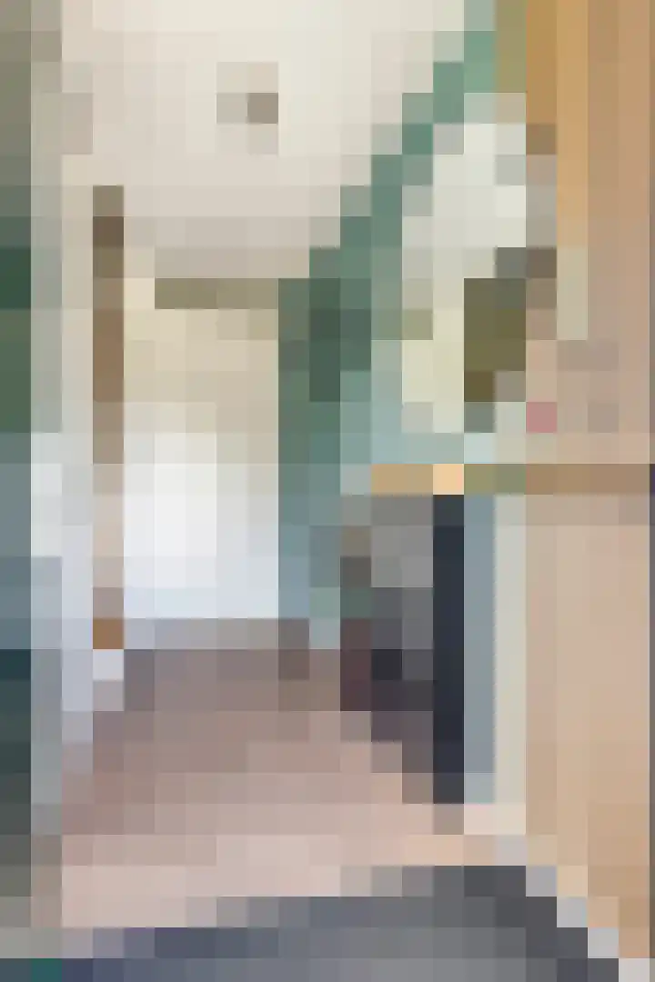 Alkmaardermeerlaan 3 Berkel en Rodenrijs thumbnail 6
