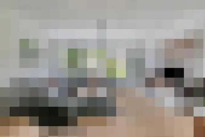 Alkmaardermeerlaan 3 Berkel en Rodenrijs thumbnail 7