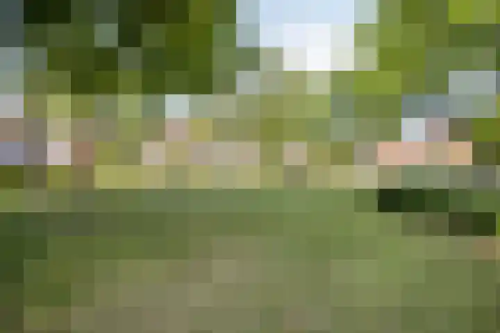 Alkmaargracht 109 Almere thumbnail 33