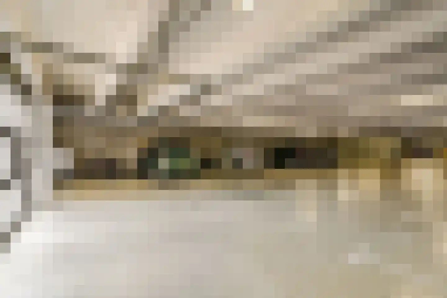 Alkmaarsestraat 10 Den Haag thumbnail 4