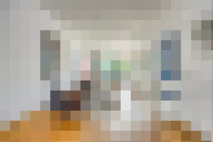 Alkmaarsestraat 19 Den Haag thumbnail 15