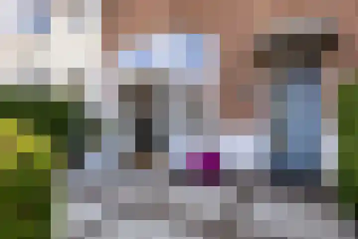 Alkmaarsestraat 19 Den Haag thumbnail 8