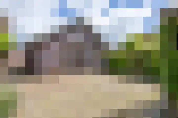 Alkmaarseweg 123 Beverwijk thumbnail 17