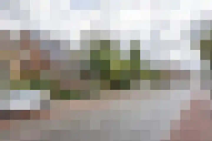 Alkmaarseweg 123 Beverwijk thumbnail 30