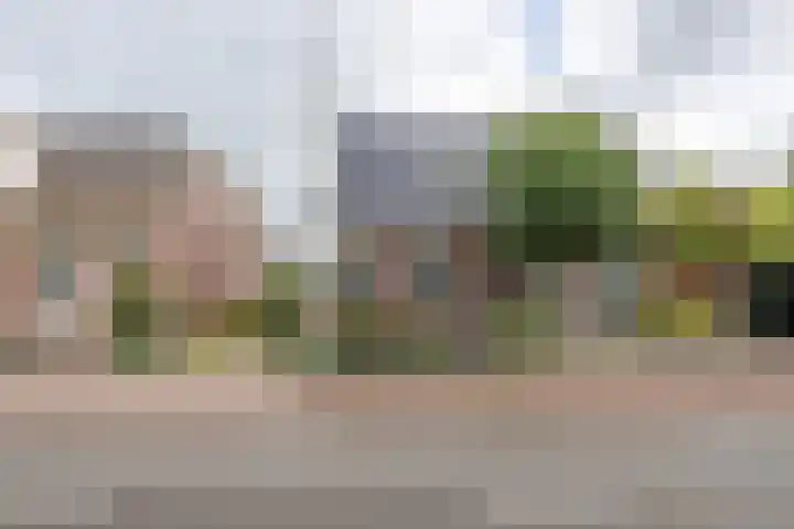Alkmaarseweg 123 Beverwijk thumbnail 4