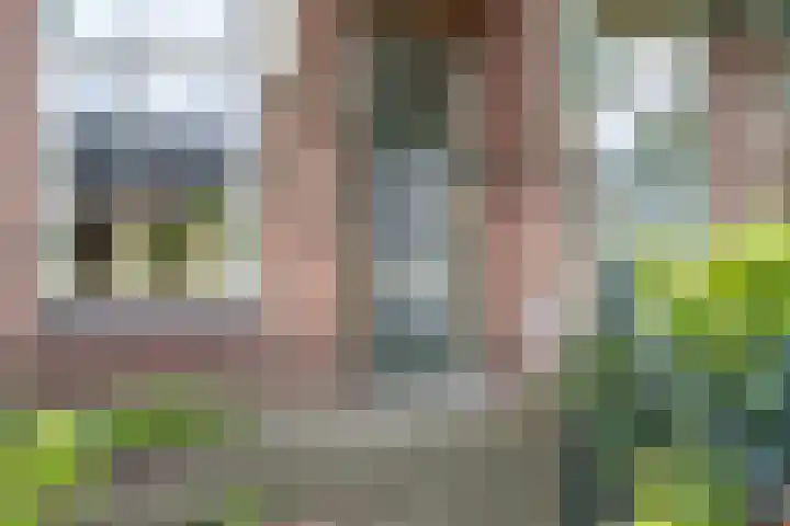 Alkmaarseweg 123 Beverwijk thumbnail 5