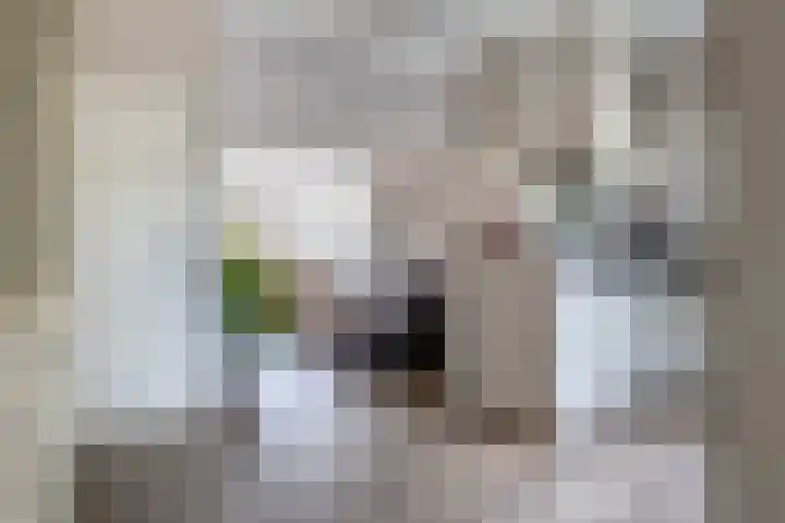 Alkmaarseweg 123 Beverwijk thumbnail 9