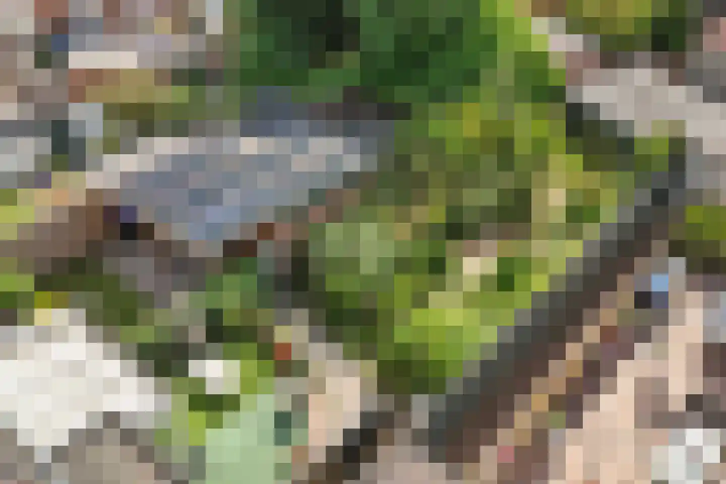 Alkmaarseweg 124 Beverwijk thumbnail 52
