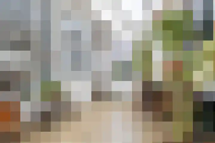 Alkmaarseweg 125 Beverwijk thumbnail 16