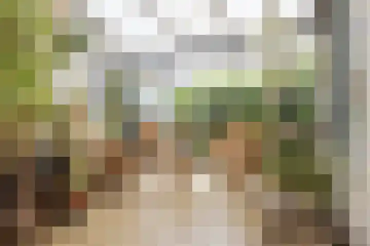 Alkmaarseweg 125 Beverwijk thumbnail 17