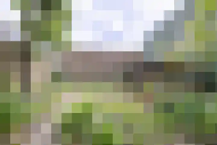 Alkmaarseweg 125 Beverwijk thumbnail 42