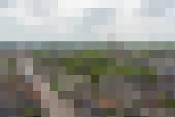 Alkmaarseweg 125 Beverwijk thumbnail 49