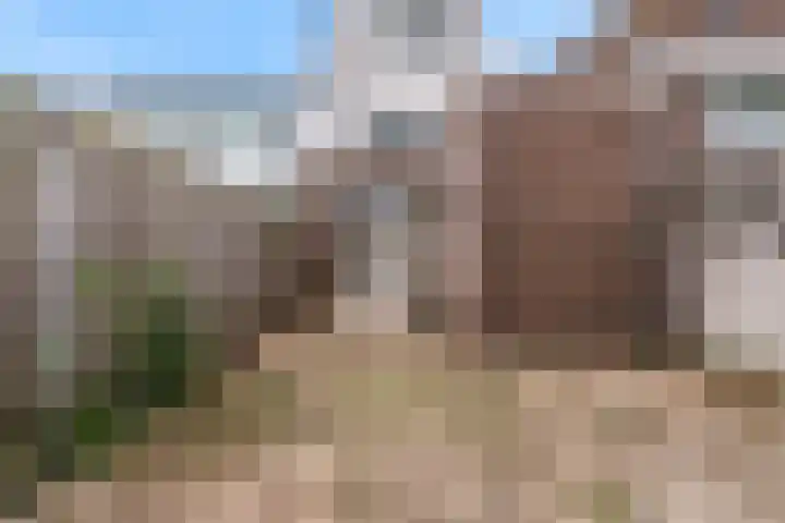 Alkmaarseweg 179 Beverwijk thumbnail 25