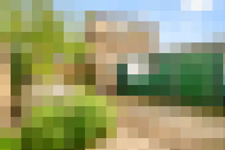 Alkmaarseweg 19 B Beverwijk thumbnail 35