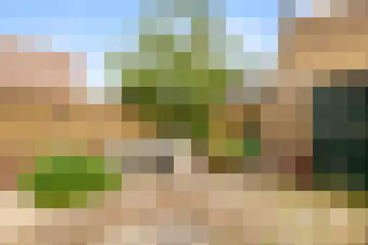Alkmaarseweg 19 B Beverwijk thumbnail 36