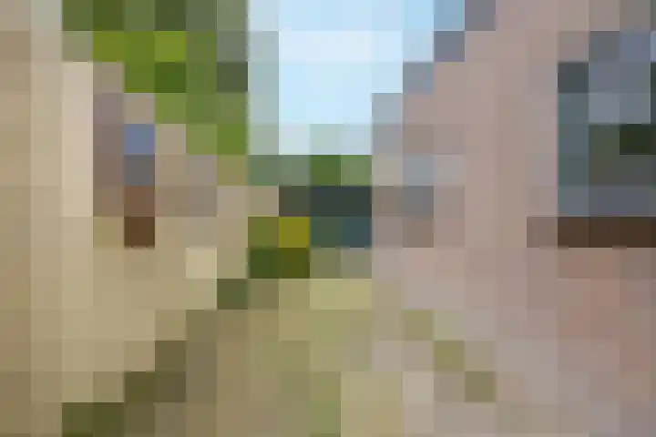 Alkmaarseweg 198 Beverwijk thumbnail 25