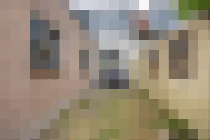 Alkmaarseweg 198 Beverwijk thumbnail 31